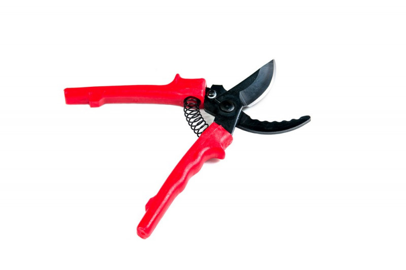 Секаторы, кусторезы, сучкорезы,ножницы садовые