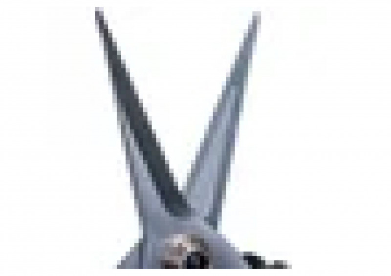 Ножницы садовые для цветов